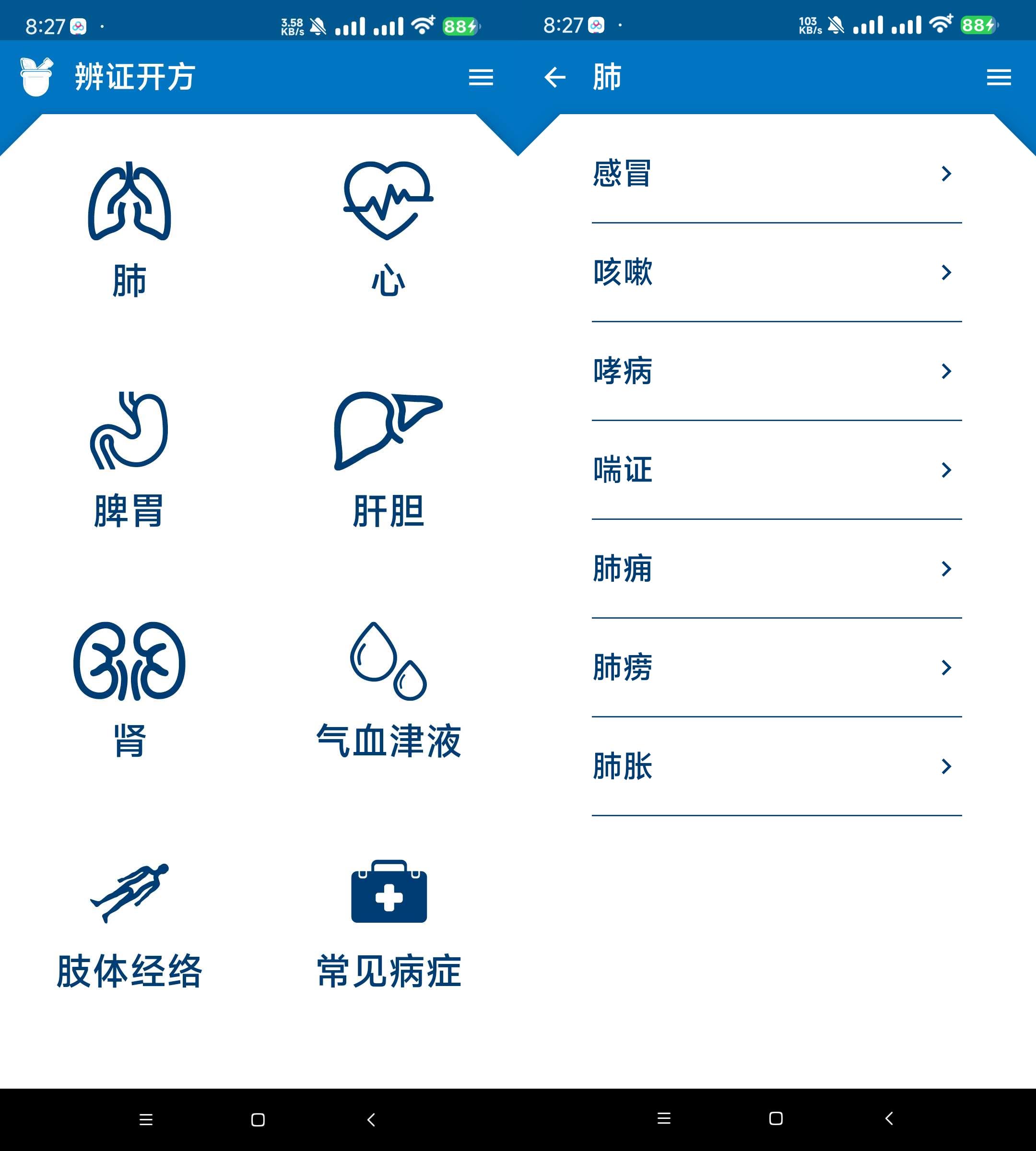 中医辩证开方-查询各个病症和治疗开方